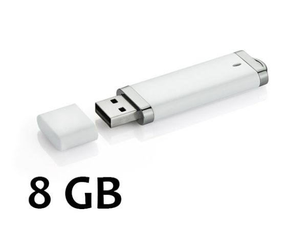 ‎USB flash disk BRIS 8 GB‎